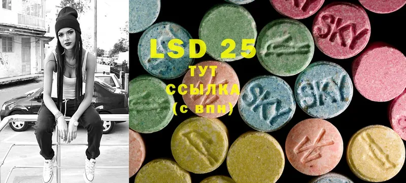 kraken онион  Богданович  ЛСД экстази ecstasy 